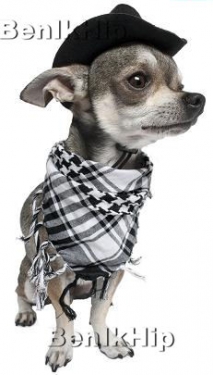 Strijkapplicatie strijkapplicatie chihuahua met sjaal